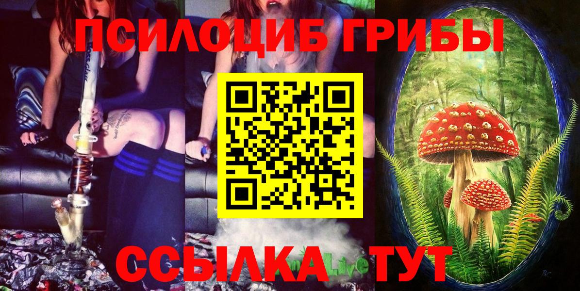 Галлюциногенные грибы Psilocybe Советская Гавань